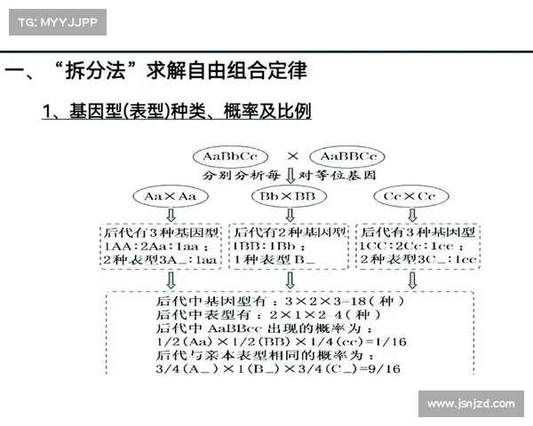 阿尔比诺现象揭秘:从遗传学到社会认知的全方位探讨 阿尔比诺现象揭秘:从遗传学到社会认知的全方位探讨